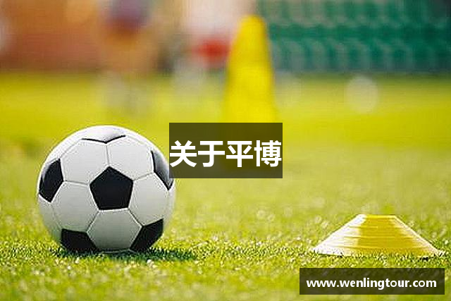 关于平博